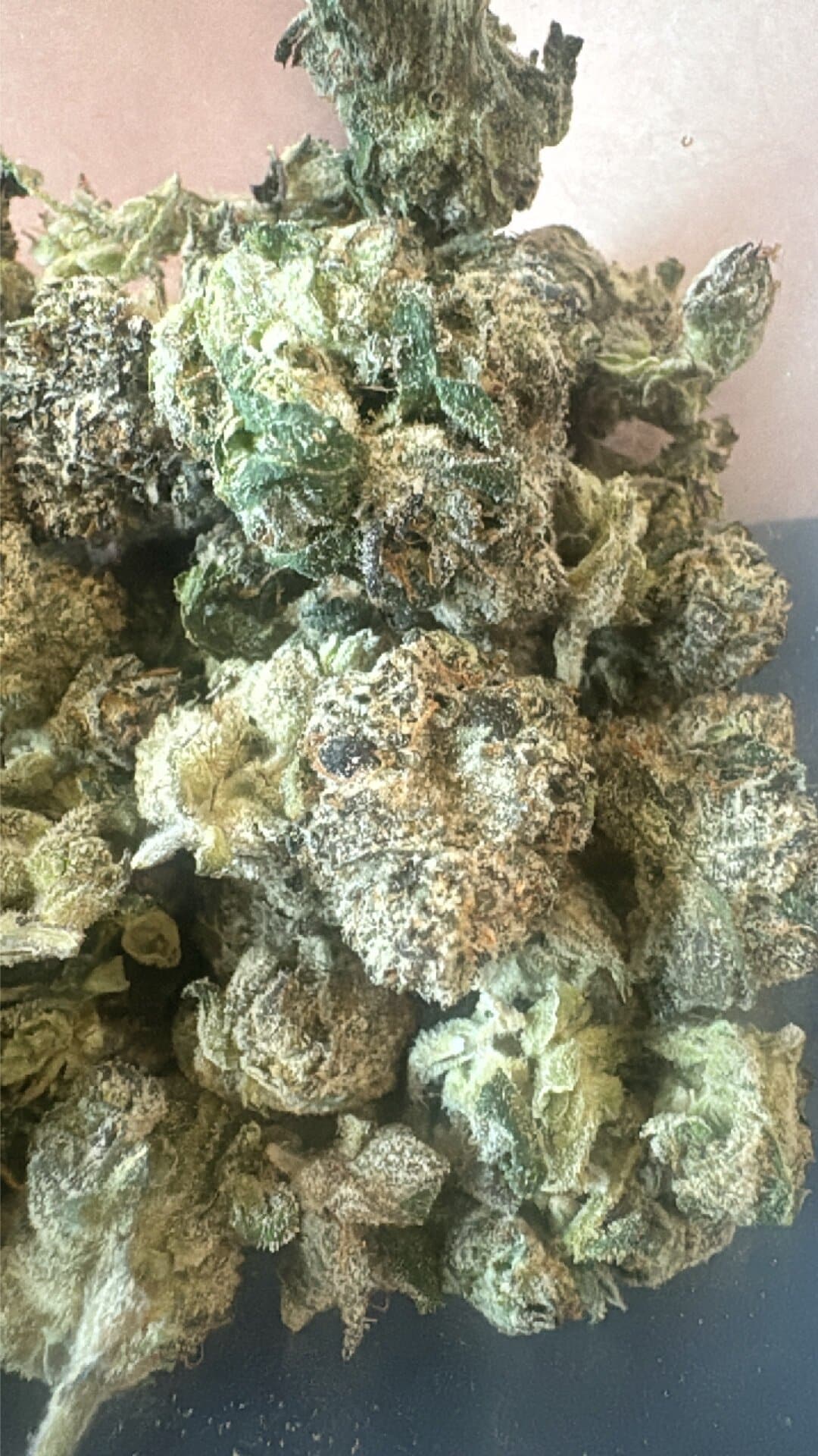 Weed