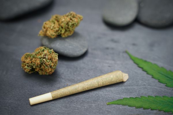 Pre-roll next to cannabis flower