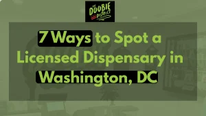 7 Ways to Spot a Licensed Dispensary in Washington, DC